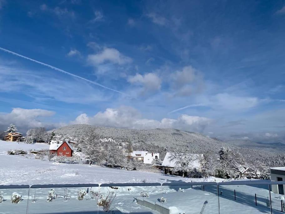 Gite "Villa Belle Vie" Labaroche Eksteriør billede